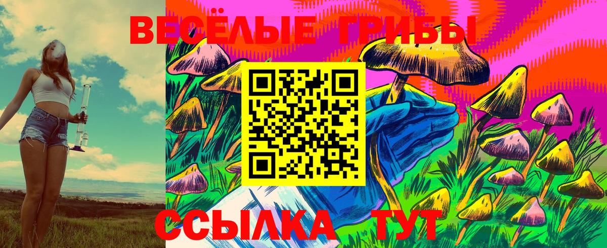 Галлюциногенные грибы Psilocybe  Вход с VPN  Сальск  Псилоцибиновые грибы прущие грибы 