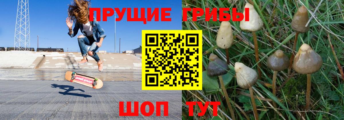 Гашиш Сальск